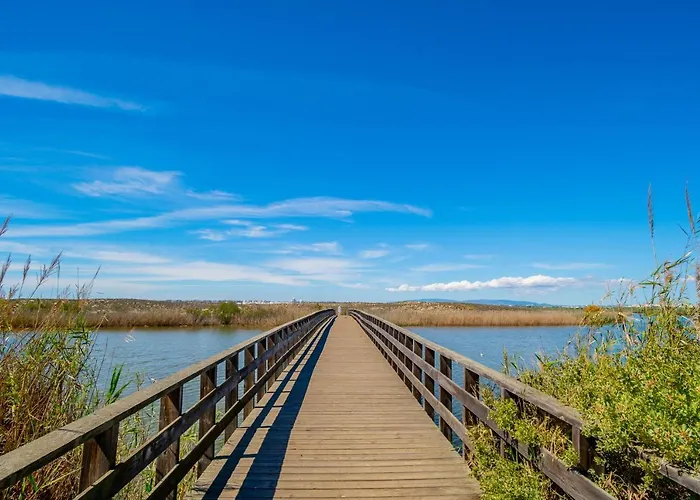 Magnifico Perto Da アパート アルブフェイラ